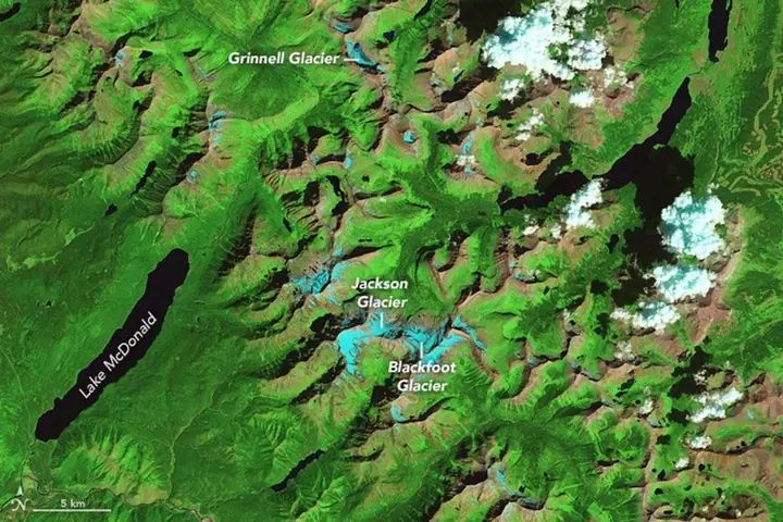 False-colour satellite image of Glacier National Park with glaciers shown as light blue patches, including Grinnell, Jackson and Blackfoot glaciers.